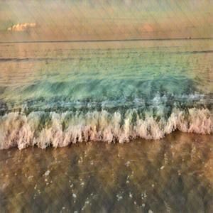 Meet your Posher, Sofia